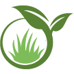 Naples Lawn Clean Up