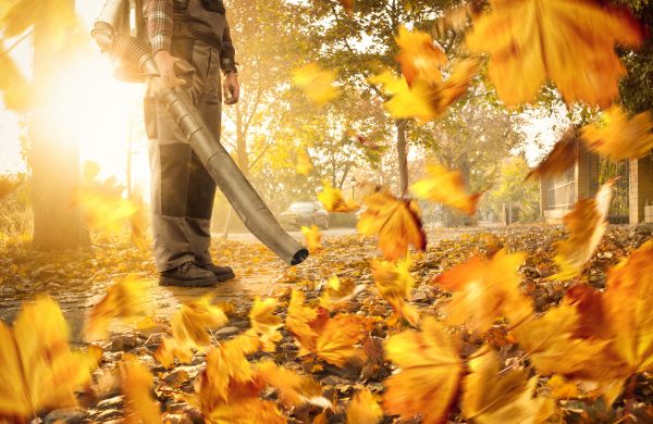 Cost of Leaf Blowing Service in Naples