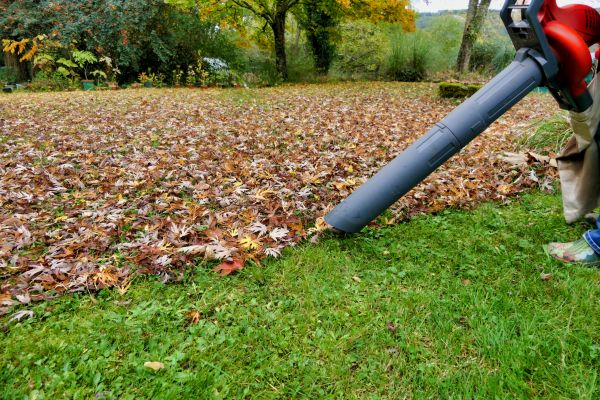 Cost of Leaf Vacuuming Service in Naples