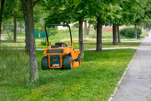 Cost of Landscaping Cleanup Service in Naples