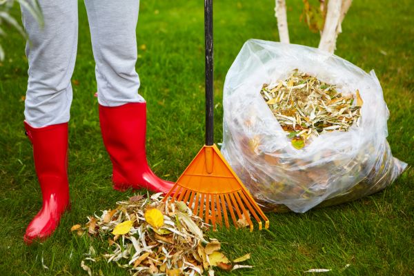 Cost of Leaf Disposal Service in Naples