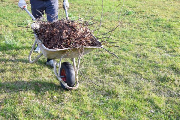 Cost of Yard Brush Removal in Naples