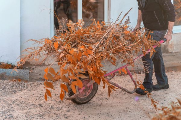 Cost of Lawn Debris Cleanup in Naples