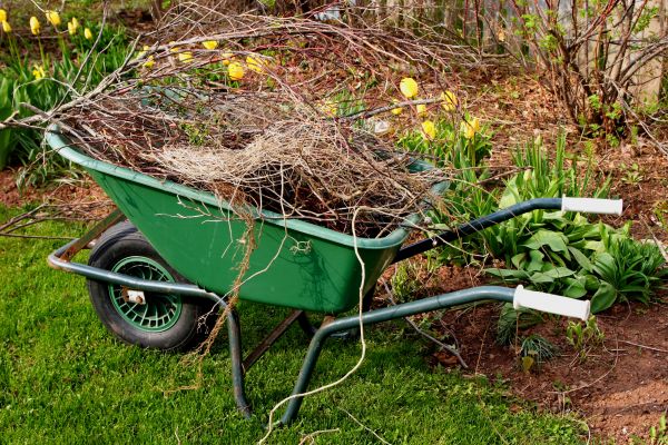 Cost of Lawn Waste Removal in Naples