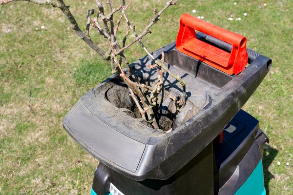 Cost of Brush Cleanup Service in Naples