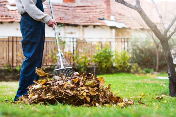Cost of Fall Yard Cleanup Service in Naples