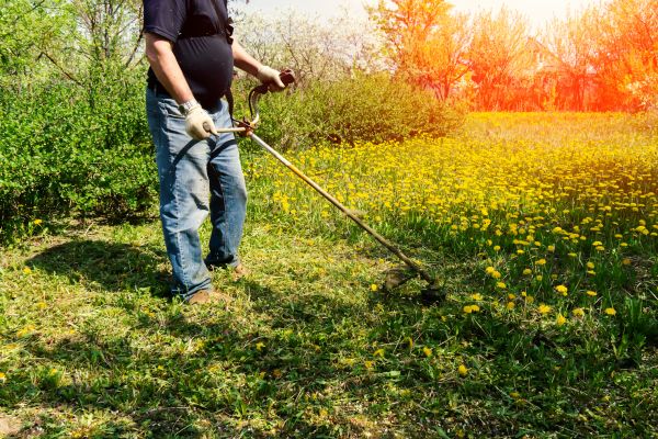 Cost of Yard Clearing Service in Naples