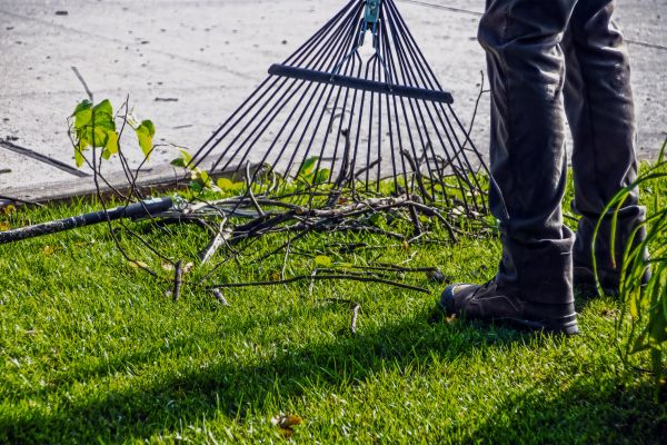 Cost of Yard Debris Cleanup in Naples