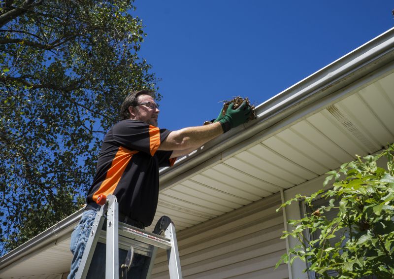 Gutter and Drainage Clearing